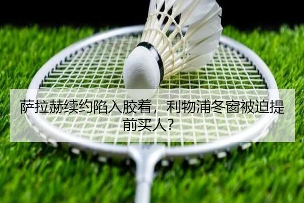 img_1784224148861_179_1_378.jpg